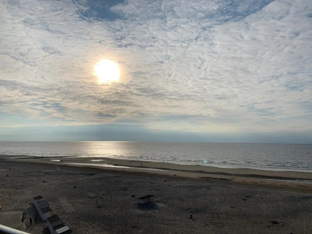 Parel Aan Het Strand contacts